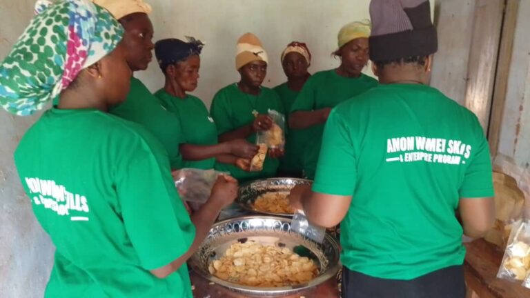 Beyond Training: A Three-Month Mentorship Programme Proposed for Potato-Chips Entrepreneurs in Ngondzen